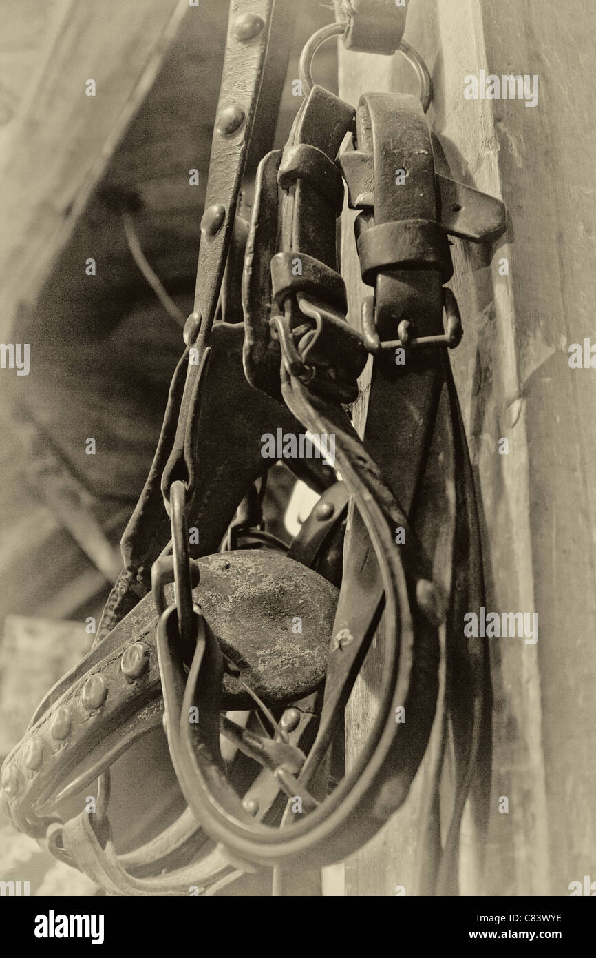 Teile von einem Cowboy-Sattel mit Steigbügel, Cinch und latigo Stockfoto