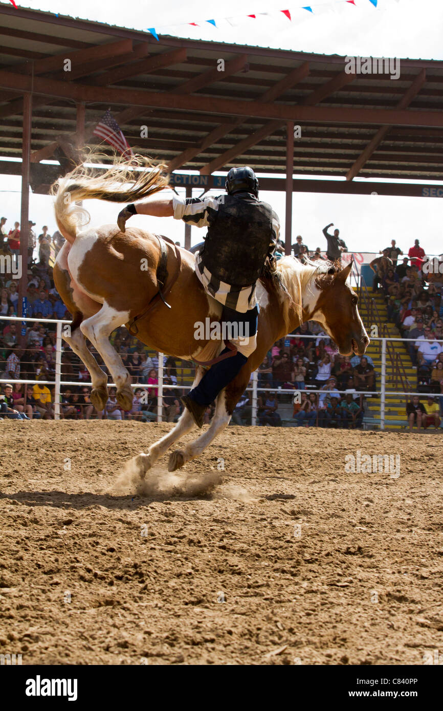 Bare Back in Louisiana State Penitentiary in Angola State Prison Rodeo Reiten Stockfoto