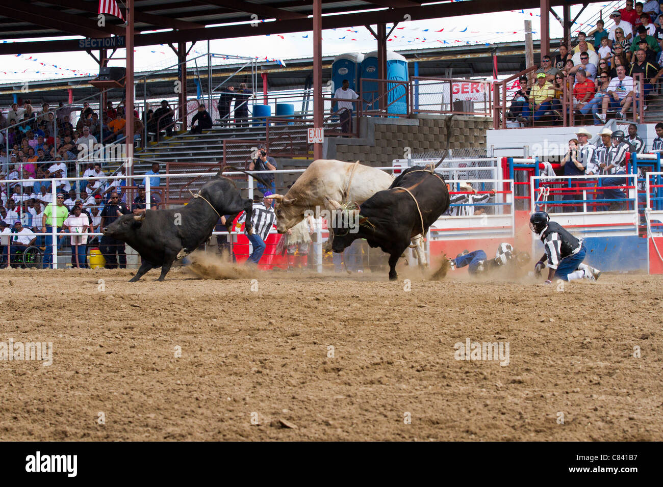 Büste in Angola State Prison Rodeo in Louisiana State Penitentiary Stockfoto