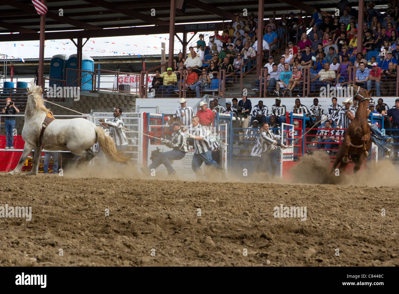 Wild Horse Race beim Staat Angola Prison Rodeo in Louisiana State