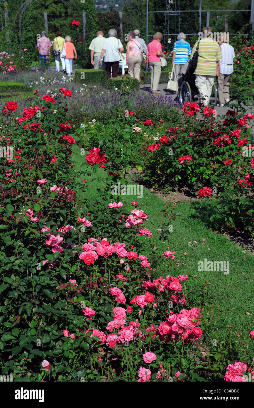 Europa Rosarium Sangerhausen, Sachsen-Anhalt, Deutschland, Europa Stockfoto