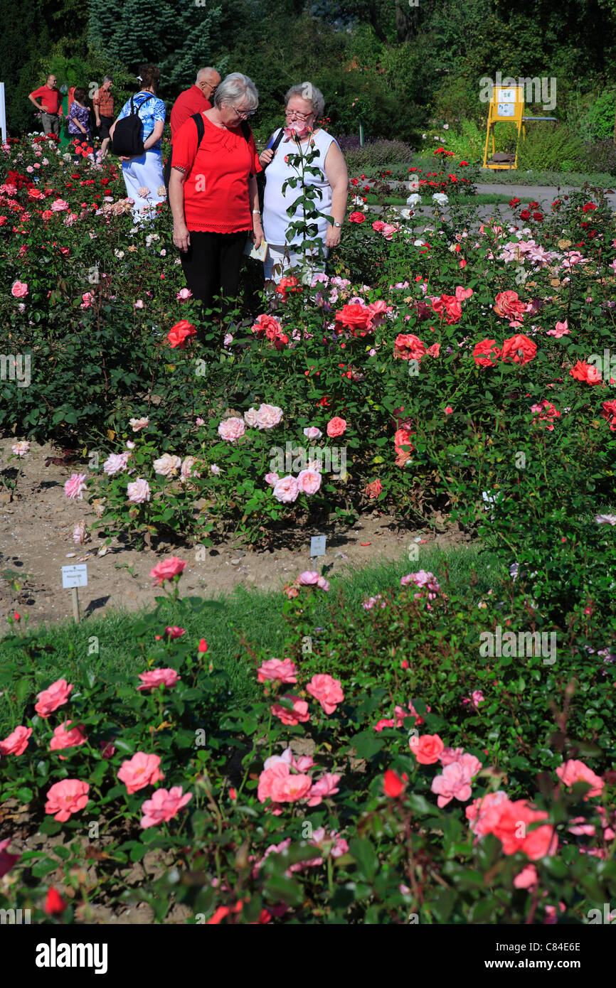Besucher im Europa Rosarium Sangerhausen, Sachsen-Anhalt, Deutschland ...