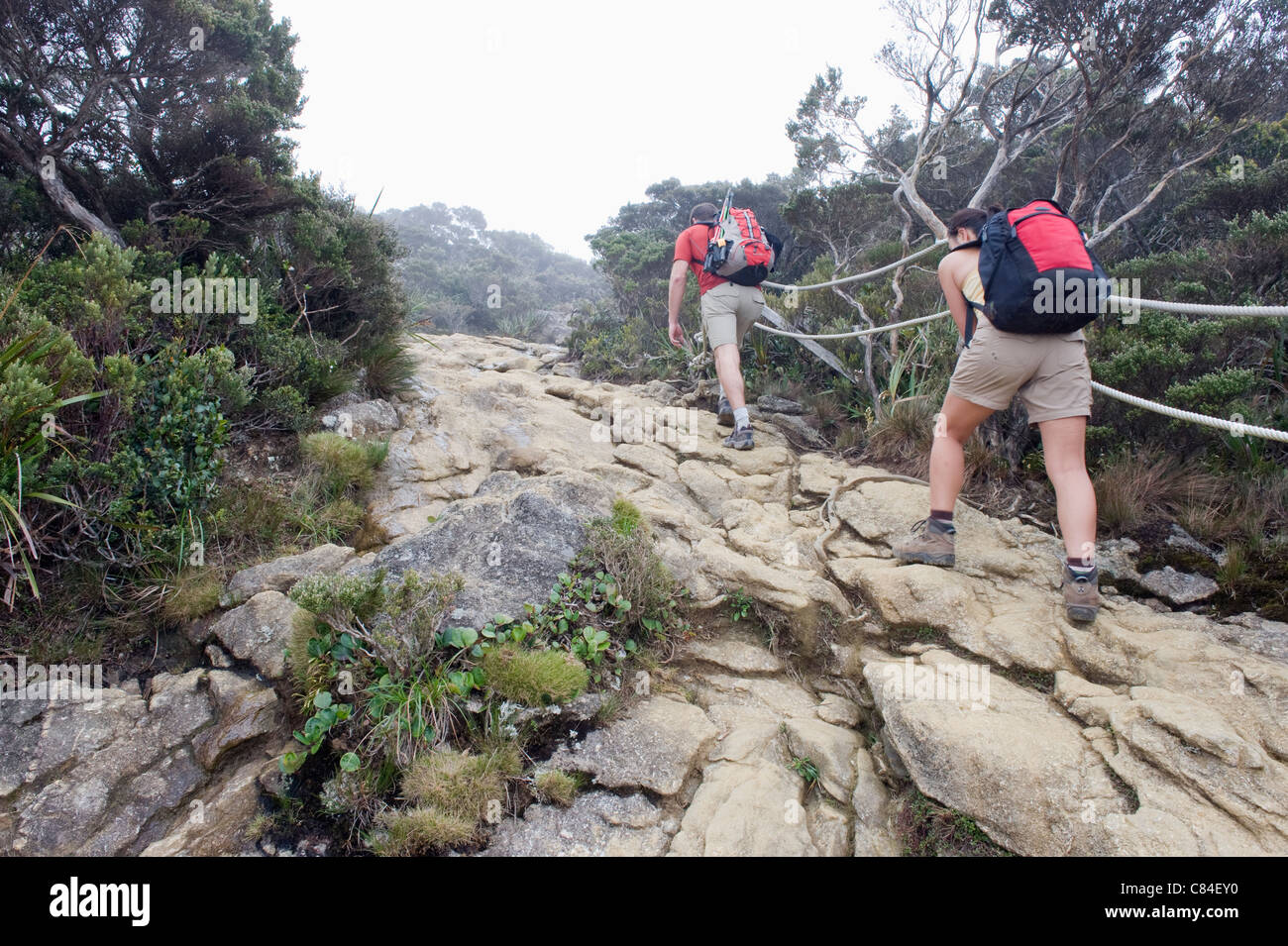 Kinabalu National Park, Malaysias höchster Berg (4095m), Sabah, Borneo, Malaysia Stockfoto