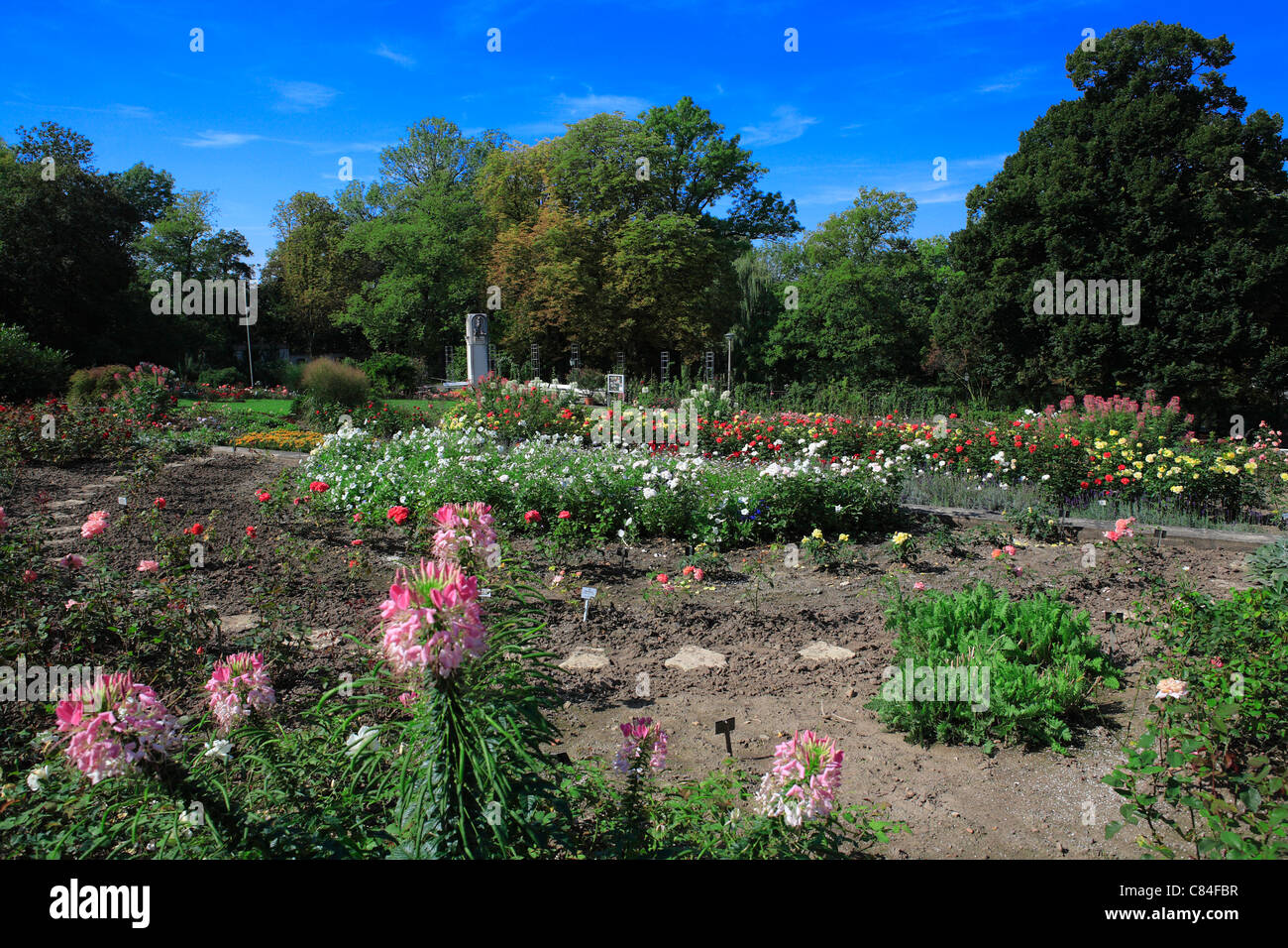 Europa Rosarium Sangerhausen, Sachsen-Anhalt, Deutschland, Europa Stockfoto