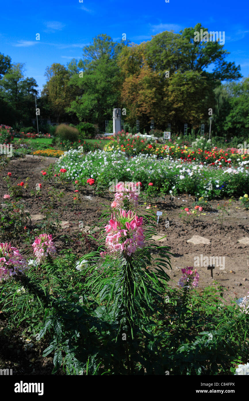 Europa Rosarium Sangerhausen, Sachsen-Anhalt, Deutschland, Europa Stockfoto