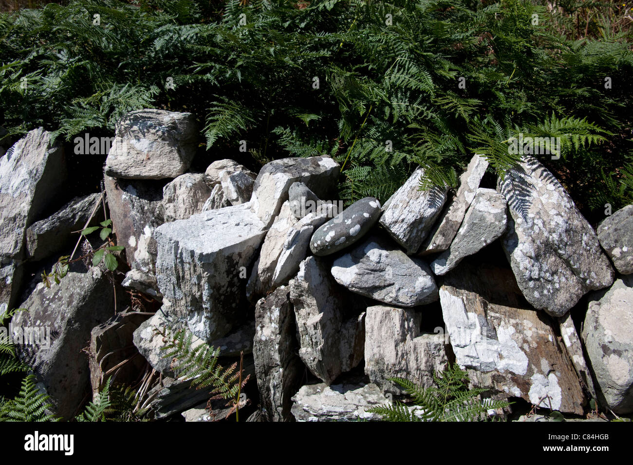 Felsen, Sherkin Island vor der Küste Skibbereen Co Cork Südirland Stockfoto