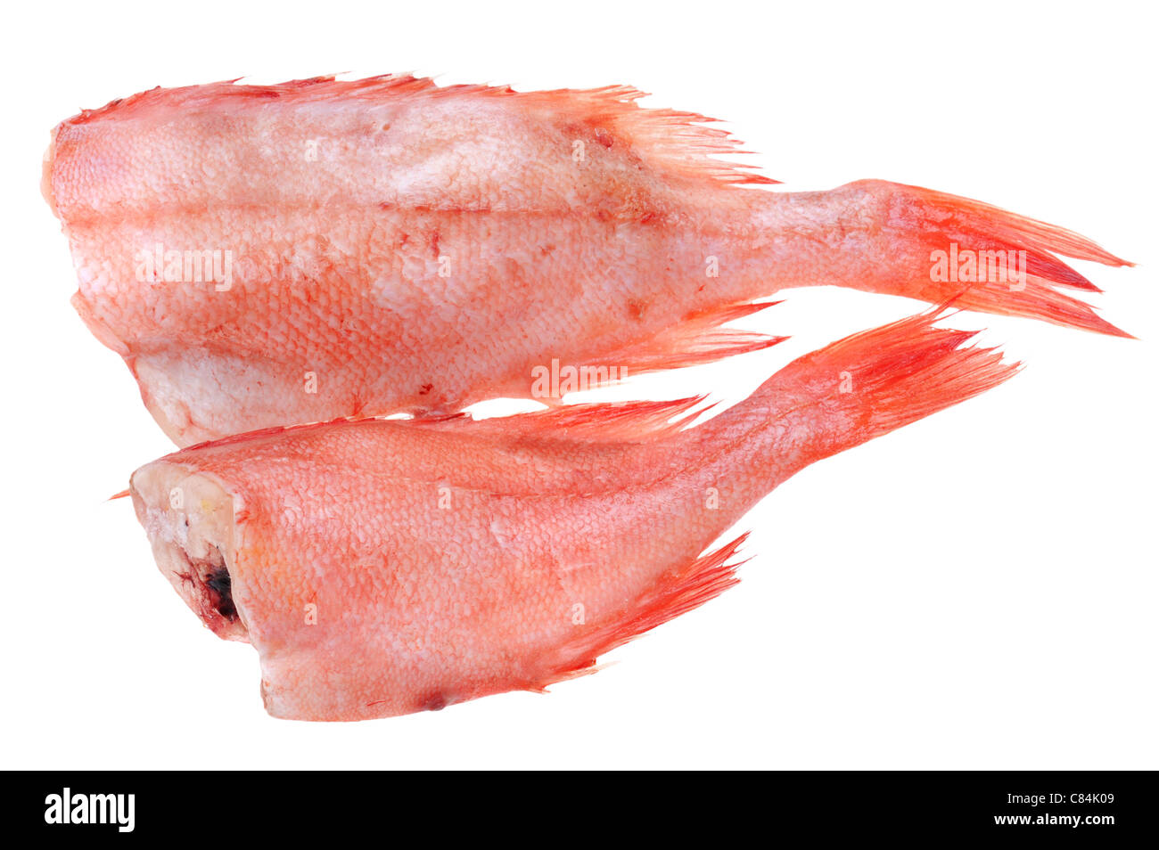 Objekt auf weiß - rote Lebensmittel Zackenbarsch Stockfoto