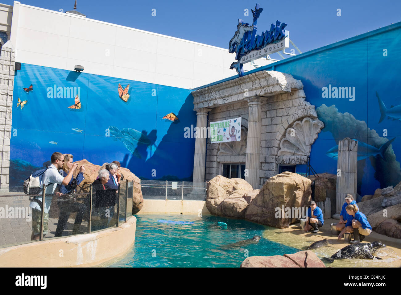 Robben tummeln sich außen Atlantis Marine World Aquarium, Riverhead, North Fork, Long Island, New York Stockfoto