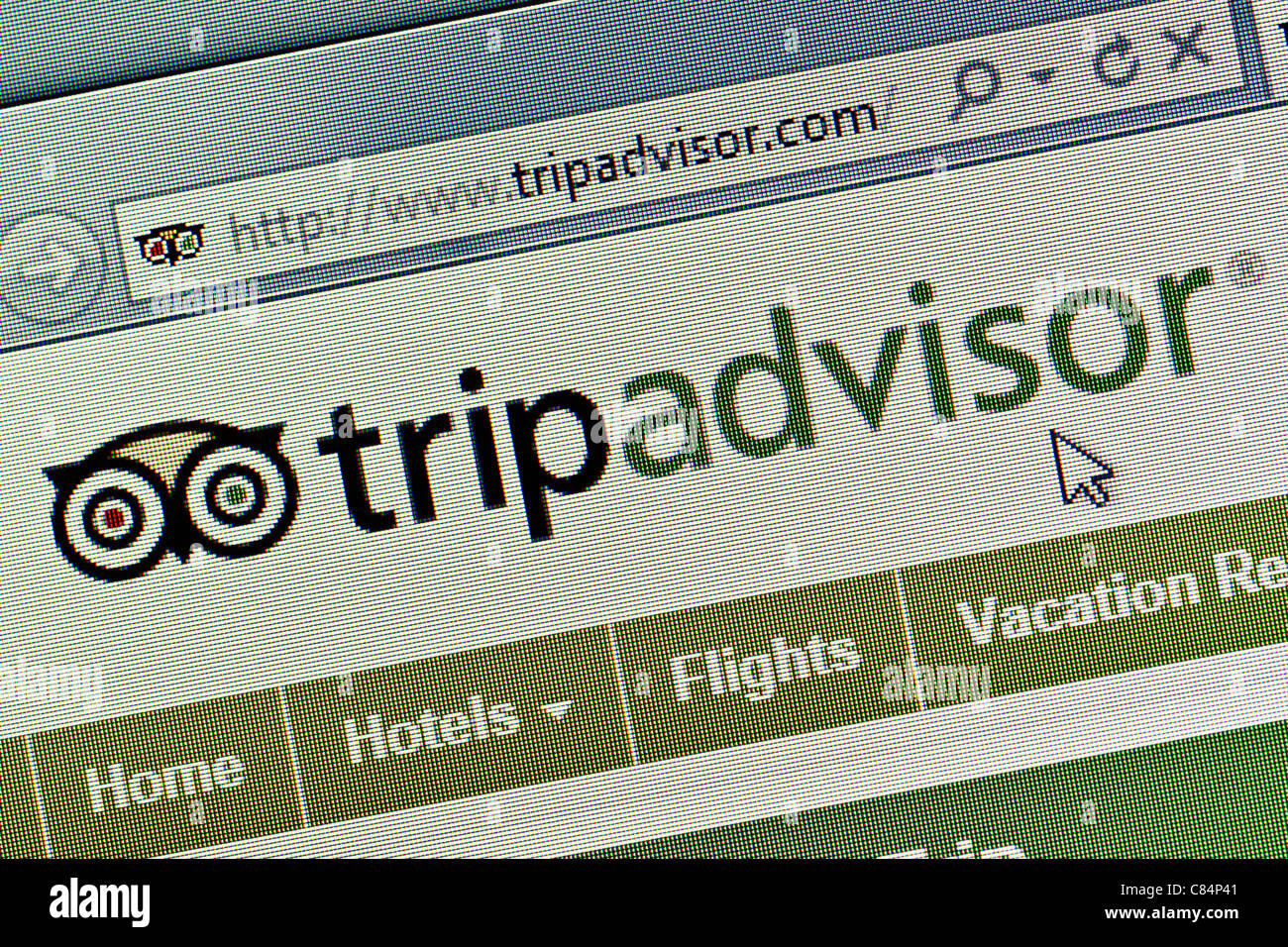 Trip Advisor Logo und Website hautnah Stockfoto