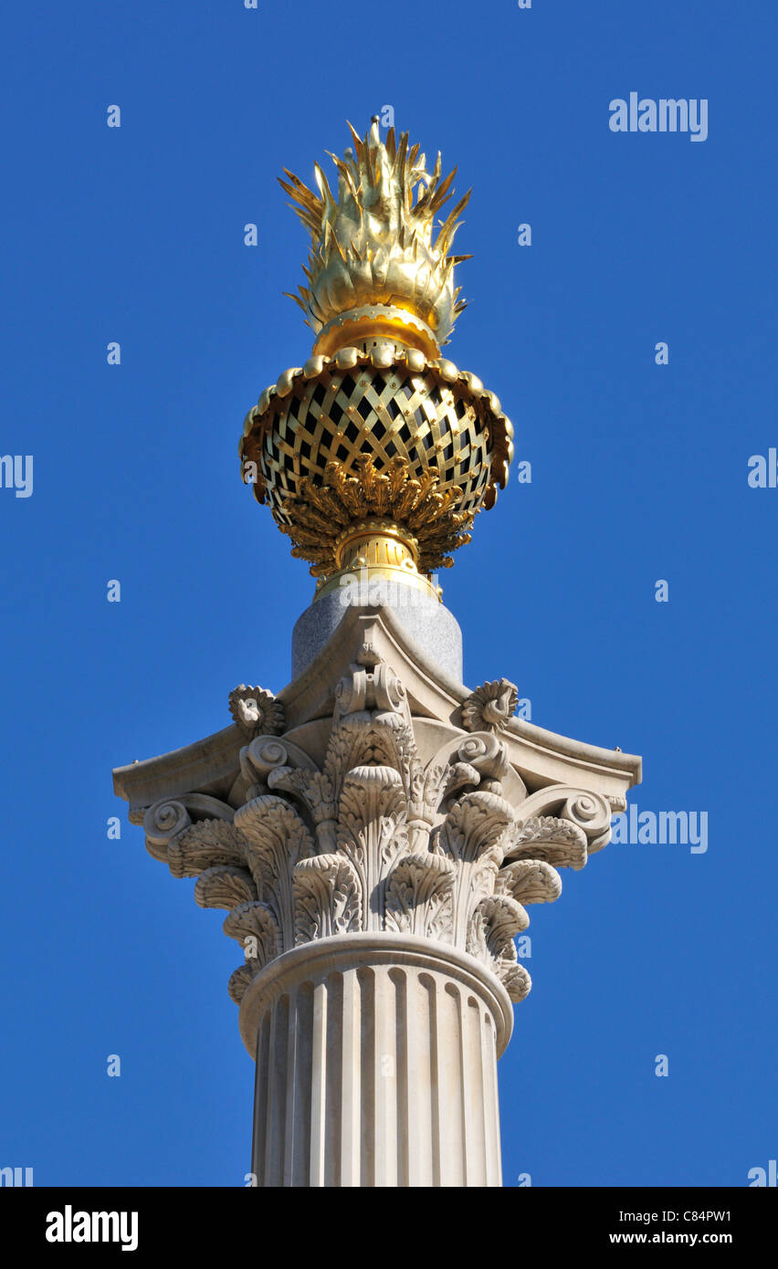 Große Feuer Denkmal, Paternoster Square, London, Vereinigtes Königreich Stockfoto