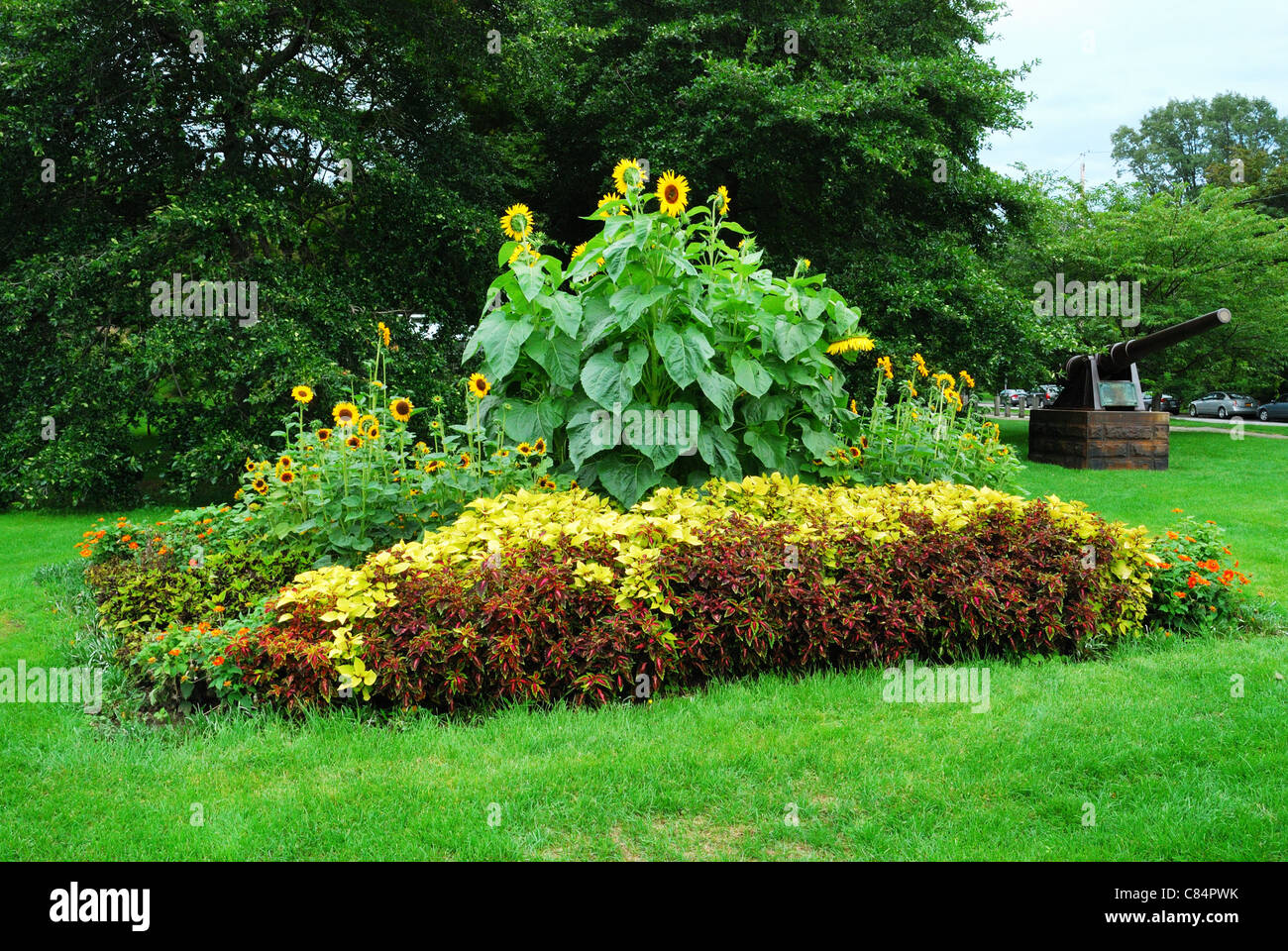 Garten-Gruppierung in Highland Park, Rochester, New York USA Stockfoto