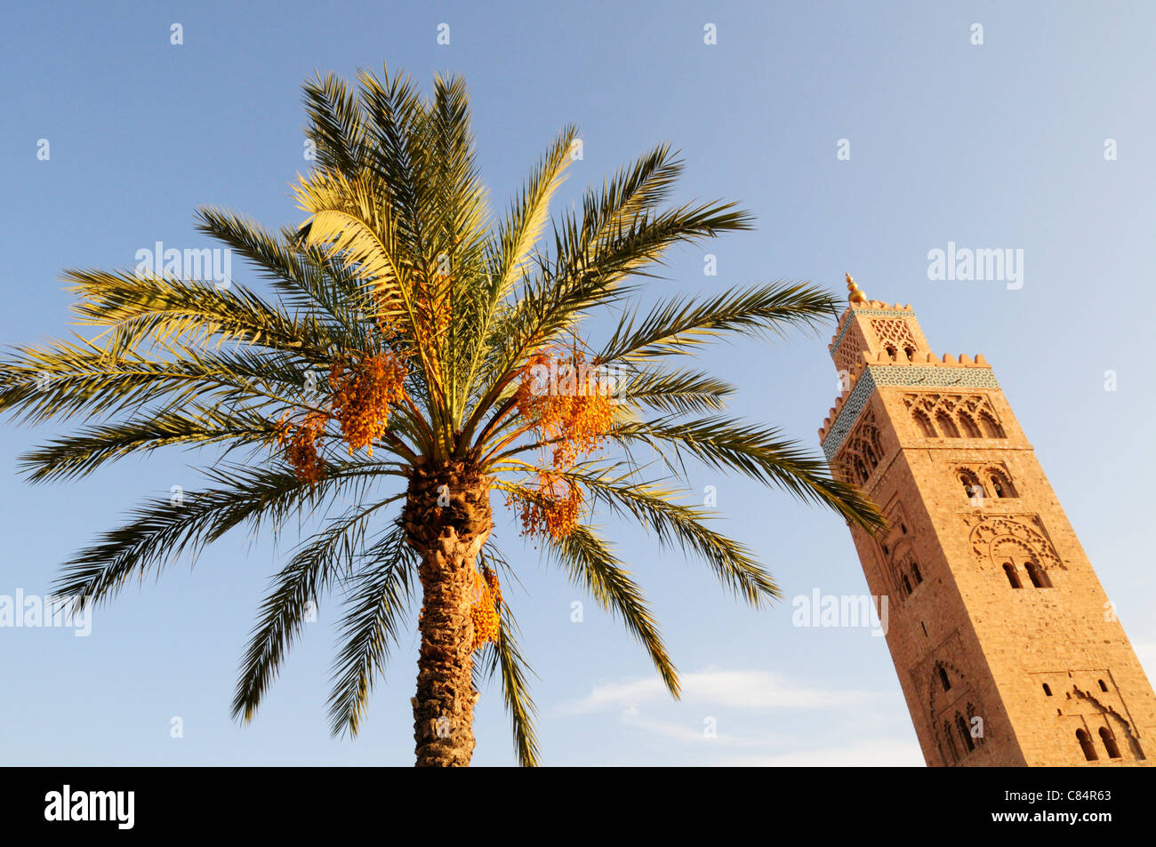 Minarett der Koutoubia-Moschee und Palme, Marrakesch, Marokko Stockfoto