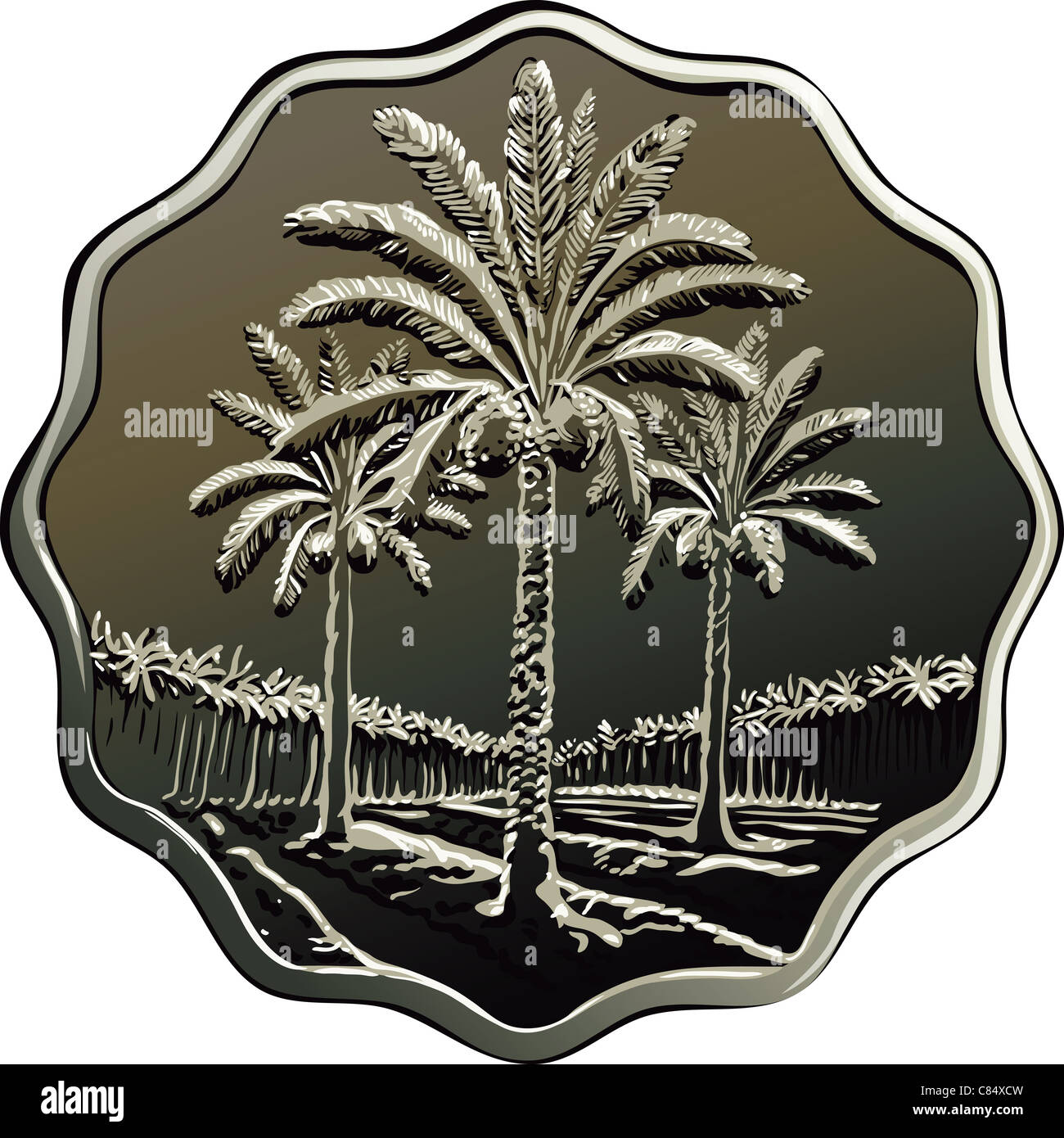 Irakische Münze mit dem Bild von Palmen Stockfoto