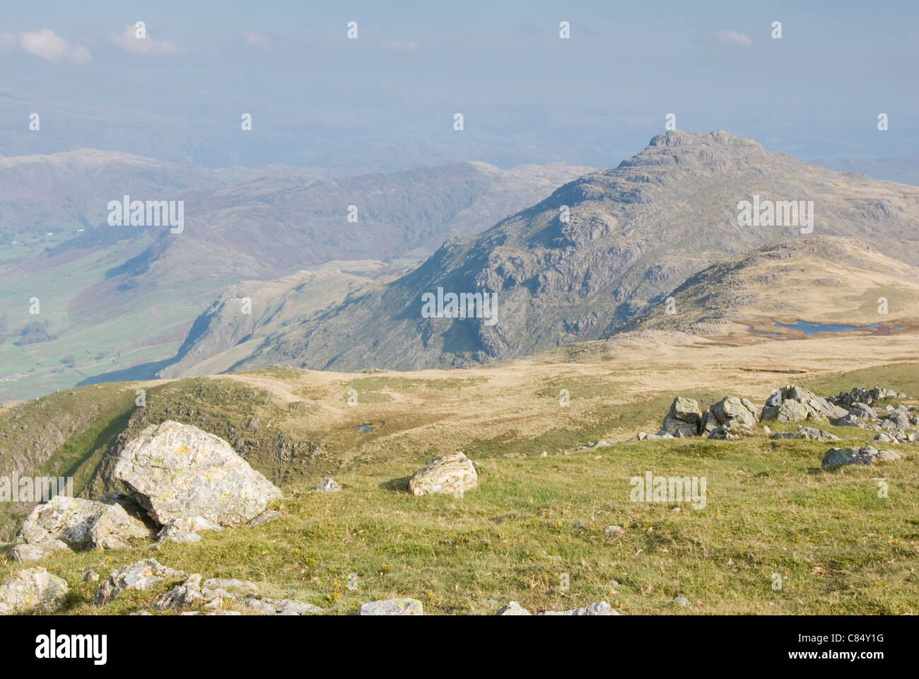 Hecht von Blisko von großen Knott Stockfoto