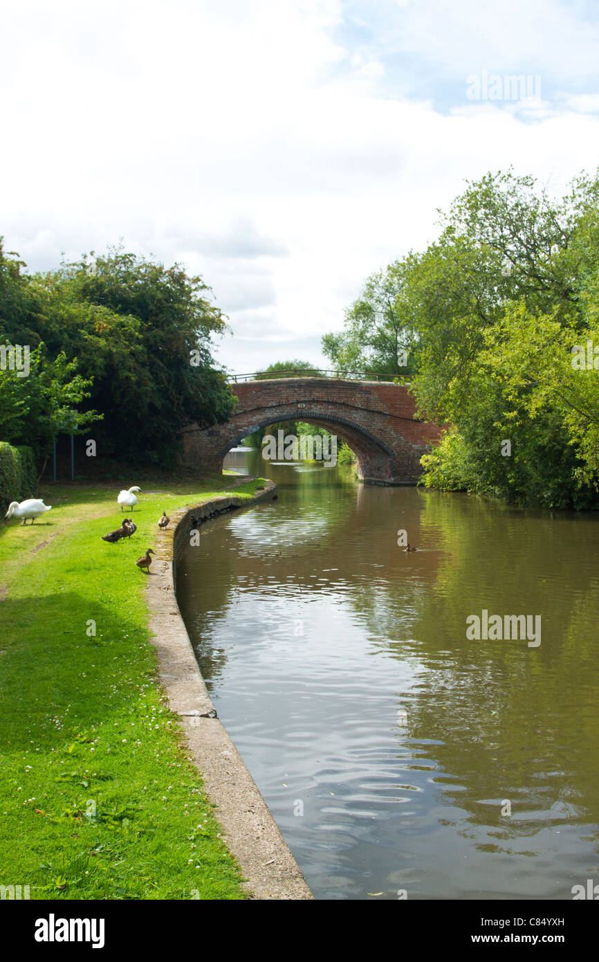 Trent & Mersey Kanal kurz vor Burton Upon Trent auf der Suche von A38 in Richtung Stretton und die Mill House pub Stockfoto