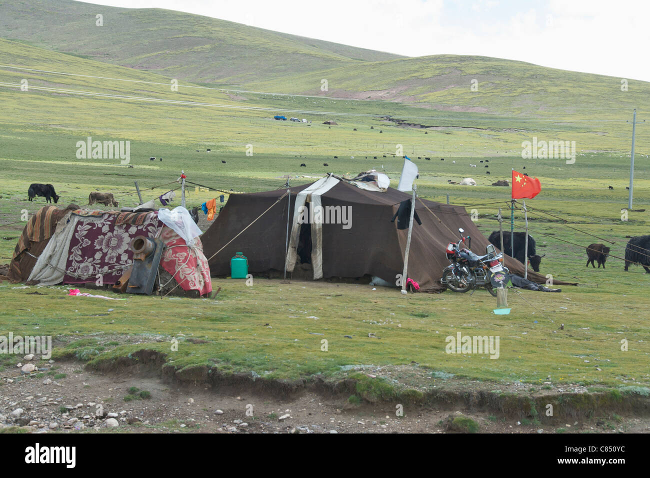 Tibetische Nomaden Zelt Stockfoto