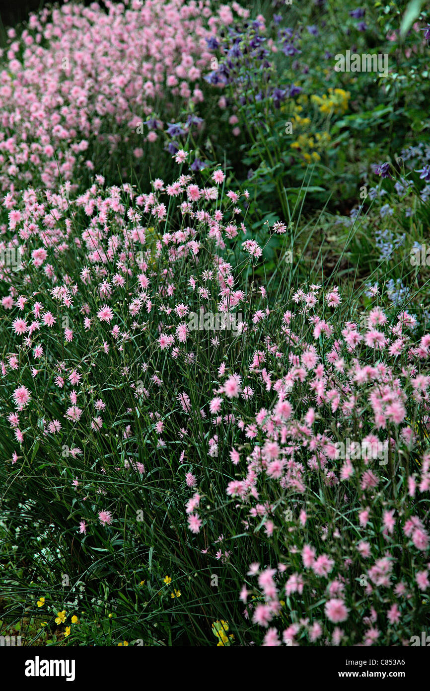 Die HESCO Garten 2010 - ausgestellt von Leeds City Council. Designer Leeds City Council. Chelsea 2010 Gold Medal Winner Stockfoto