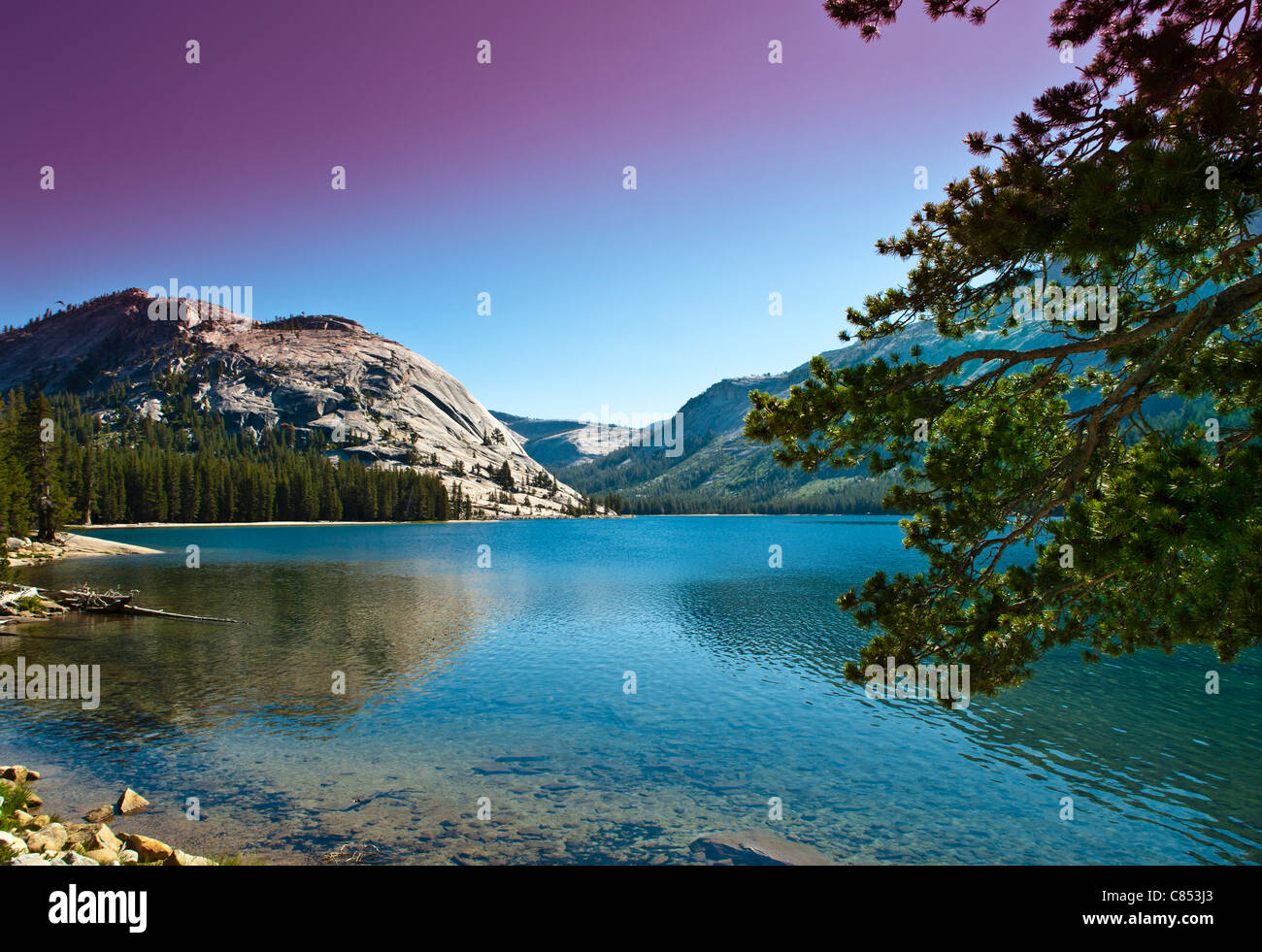 Yosemite-Nationalpark Yoh-sem-It-Ee) ist eine Vereinigte Staaten Nationalpark umfasst die östlichen Teile des Tuolumne, Mariposa. Stockfoto
