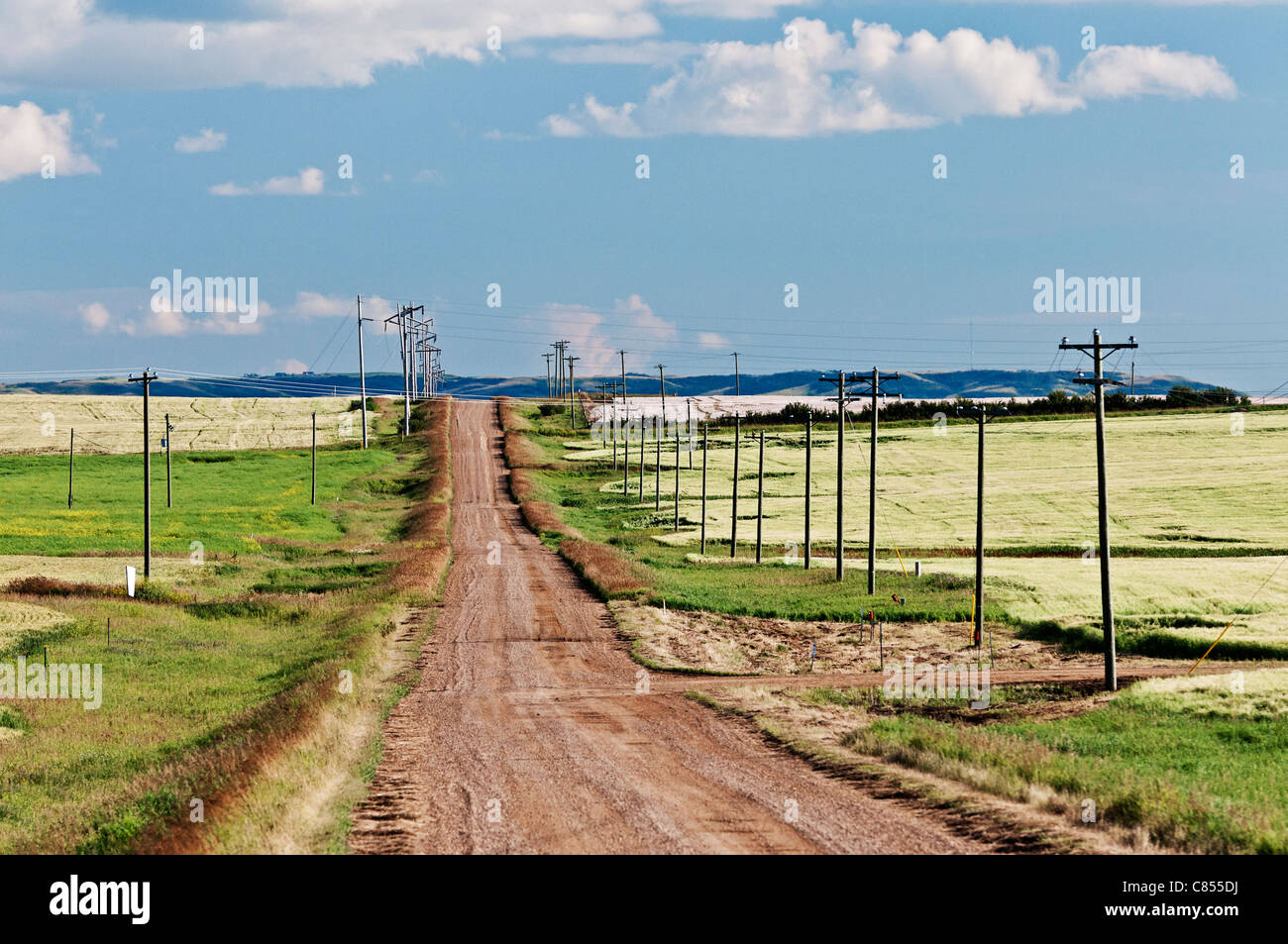 Ländlichen Alberta, Kanada: eine leere einsame Schotterstraße teilt Getreidefeldern. Stockfoto