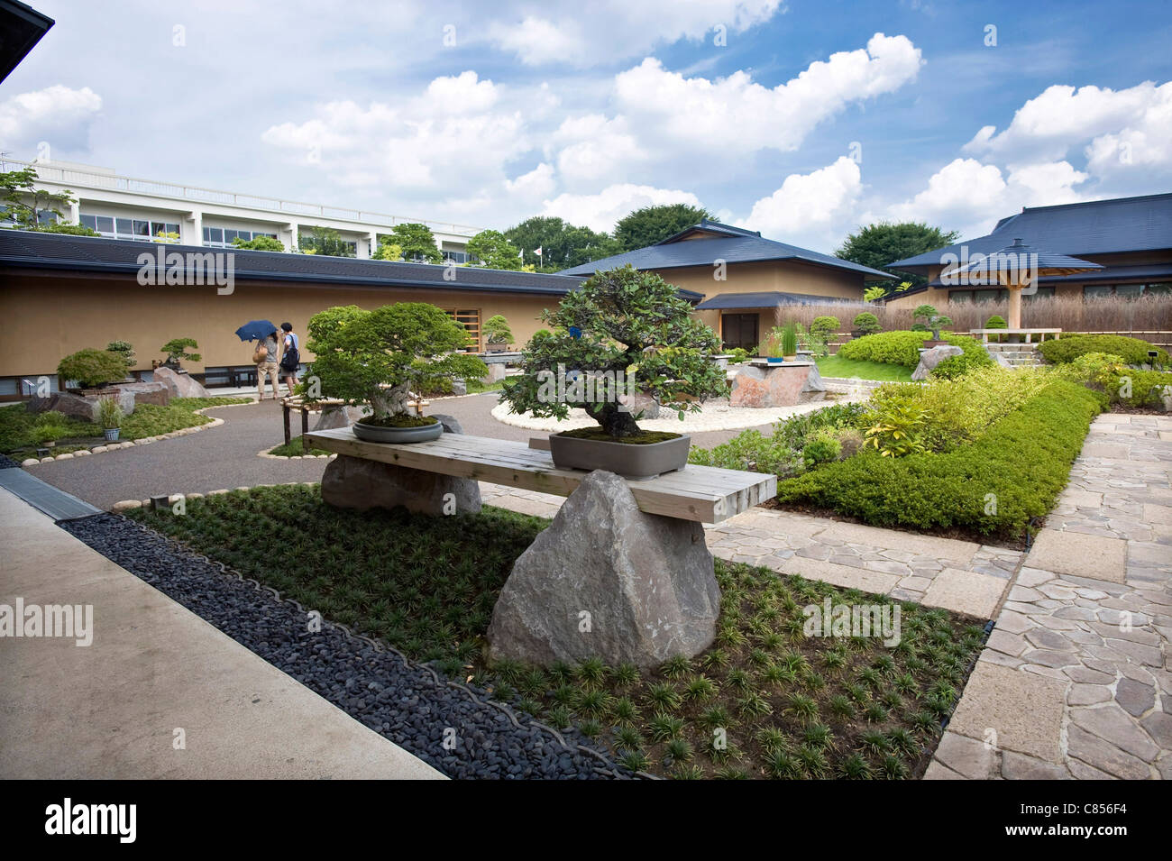 Foto zeigt auf dem Display an der Saitama Omiya Bonsai Museum of Art in