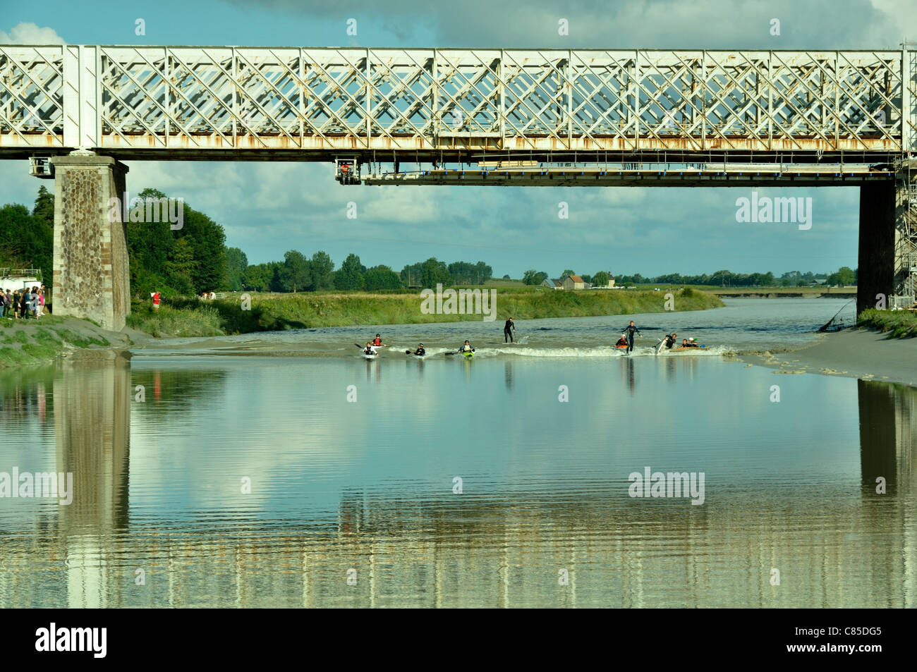 Kanuten auf der Welle der die Gezeiten trugen in Pontaubault, Küsten-Fluss: la Sélune. Stockfoto