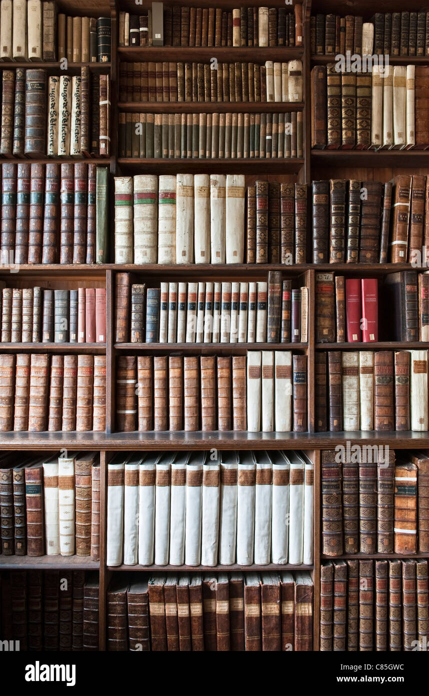 Theologische Bücher in einer alten Bibliothek, Großbritannien Stockfoto