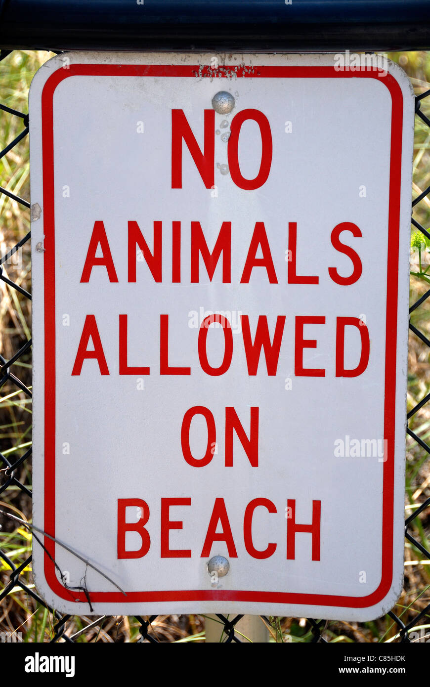 Keine Tiere erlaubt am Strand Zeichen, Palm Beach, Florida, USA Stockfoto