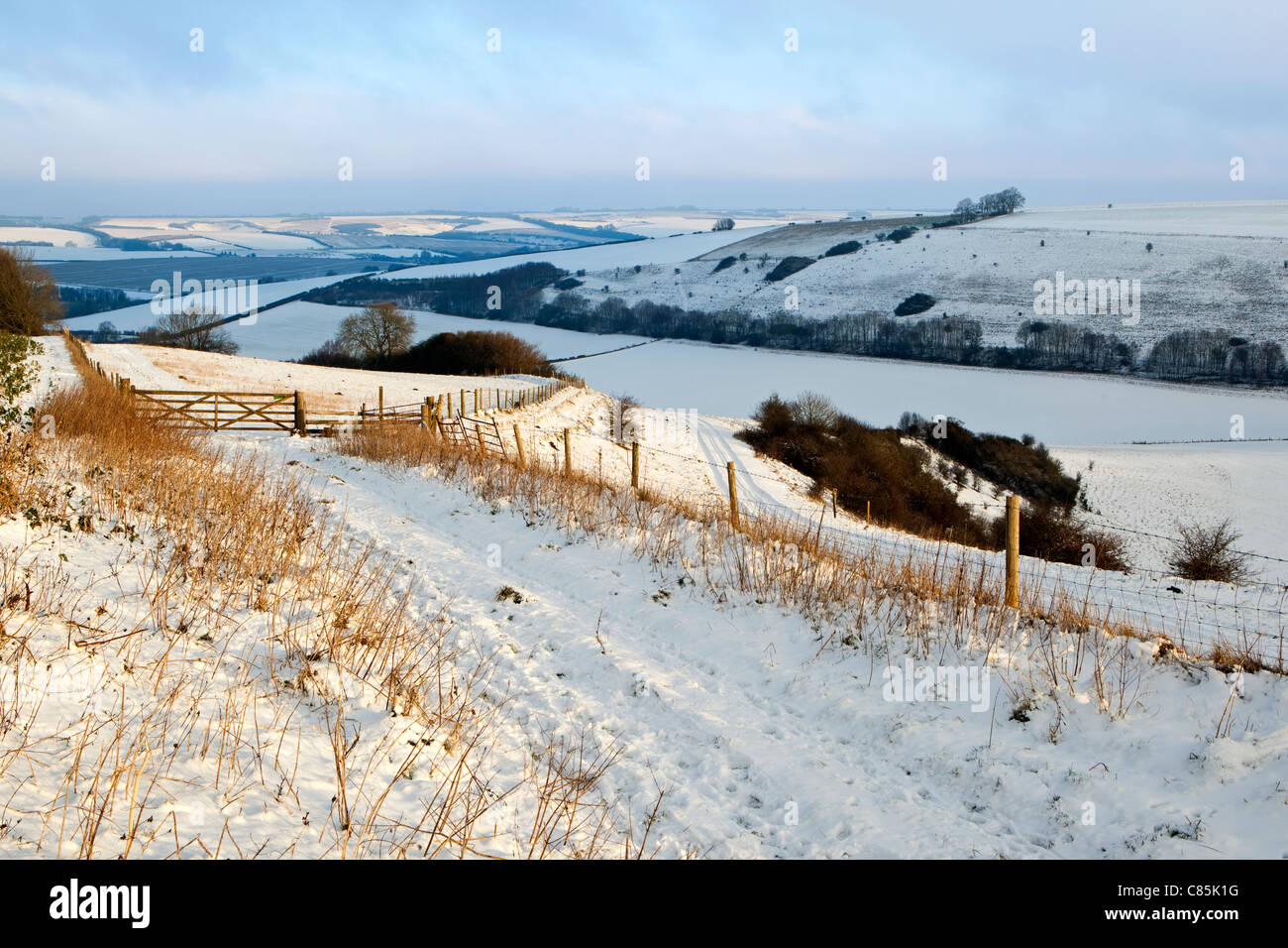 Ein Winter-Blick auf Knowle Hügel, in der Nähe Bowerchalke in Wiltshire, mit Schnee und Fußabdrücke auf einem Wanderweg Stockfoto