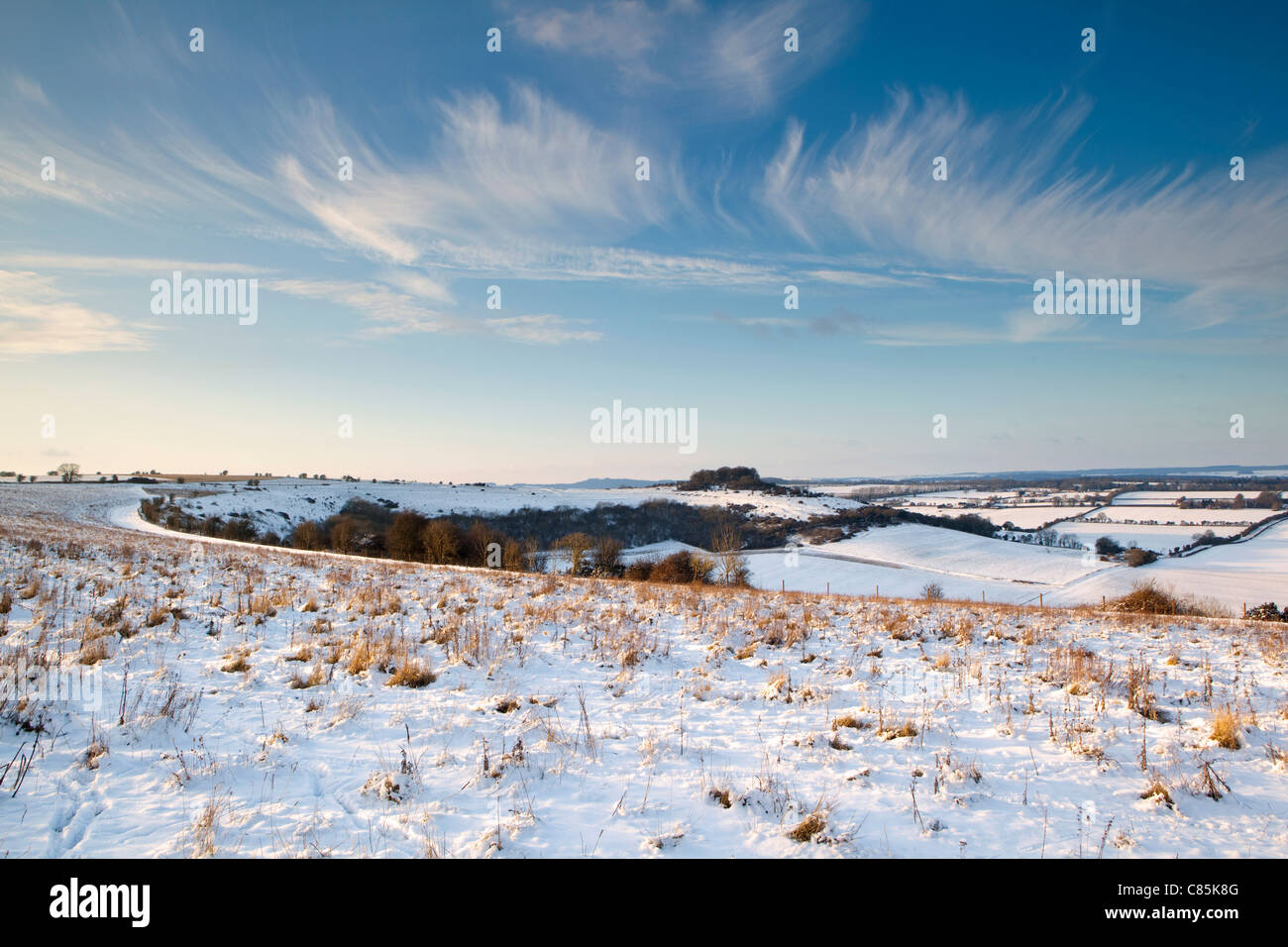 Blick entlang Sutton Down, in der Nähe von Fovant in Wiltshire mit Schnee und blauer Himmel Stockfoto
