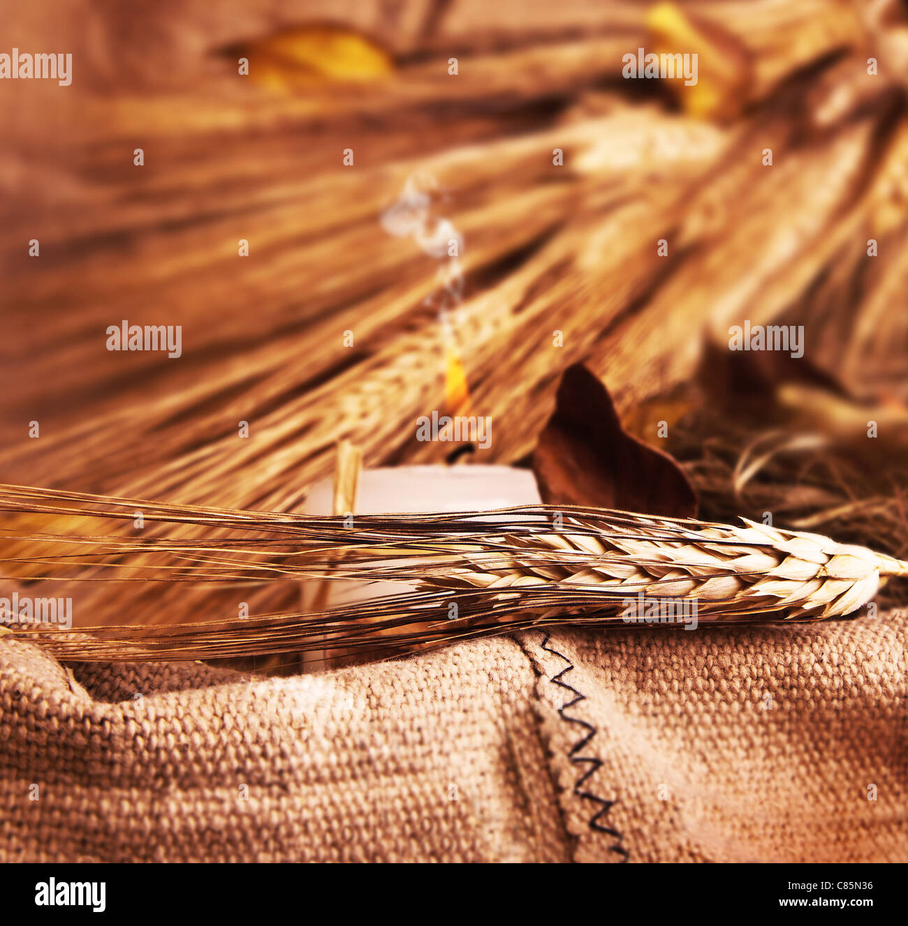 Weizen auf Leinwand mit Kerze, Dekoration, Herbst Hintergrund, Ernte-Konzept Stockfoto