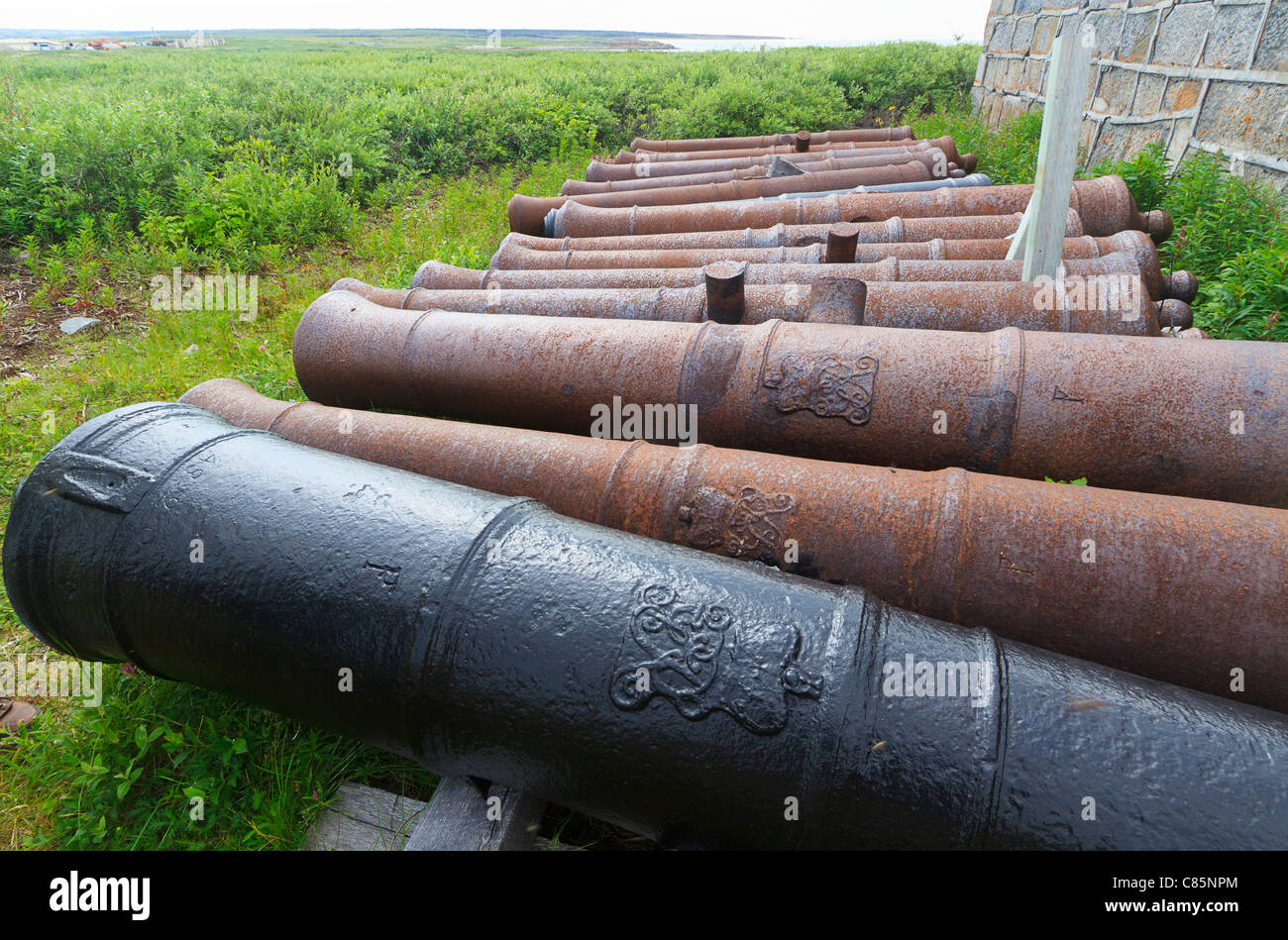 Einige der 40 Kanonen, die einst im Prince Of Wales Fort National Historic Site in der Nähe von Churchill, MB, Canada. Stockfoto