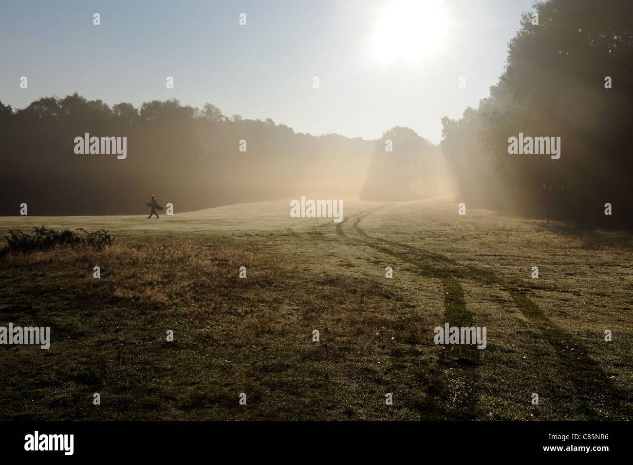 Ein einsamer Golfer auf dem Fairway eines Golfplatzes bei Sonnenaufgang ein Herbst. Stockfoto