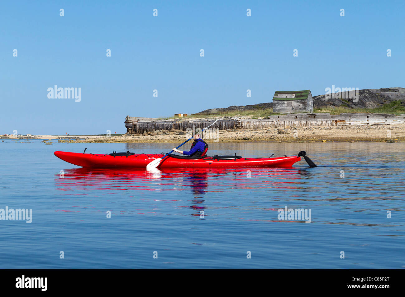 Frau Kajaks in der Churchill River, Beluga-Wale im Hafen von Churchill in Churchill, MB, Kanada zu sehen. Stockfoto