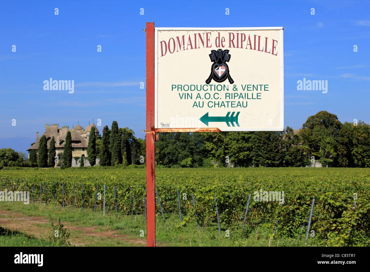 Schloss Ripaille Weinberg in der Nähe von Thonon-Les-Bains, Lac Leman (Genfer See) Haute-Savoie, Frankreich Stockfoto