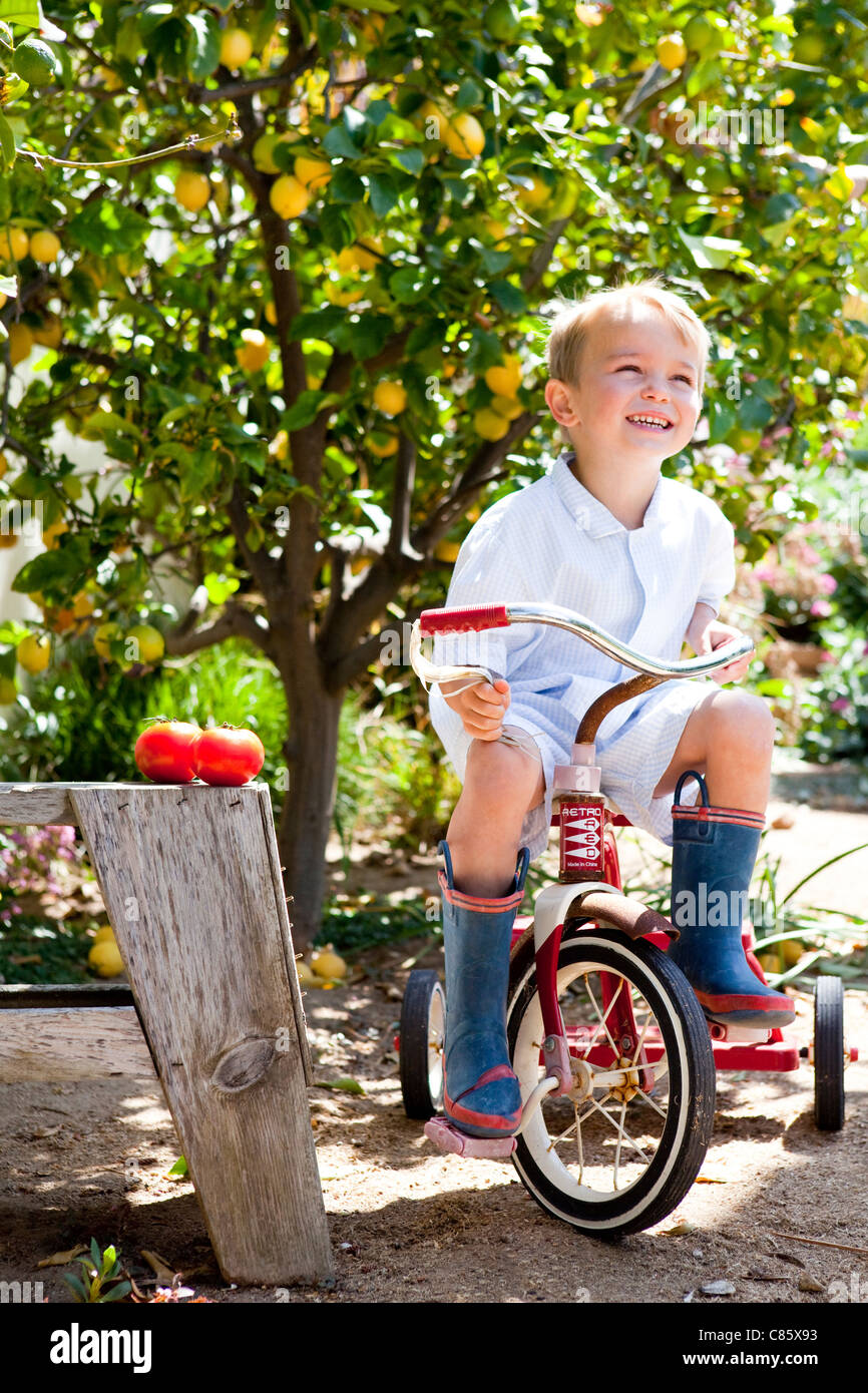 Kleiner Junge Reiten Dreirad durch Obstgarten Stockfoto