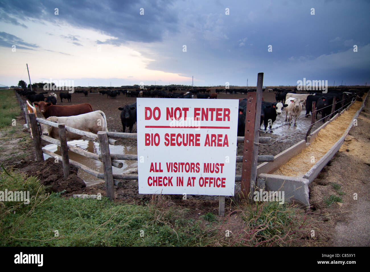 Ein Schild warnt vor Eingabe eines biologisch sicheres Bereich auf einem Bauernhof in der Nähe von Grand Island, Nebraska, USA. Stockfoto