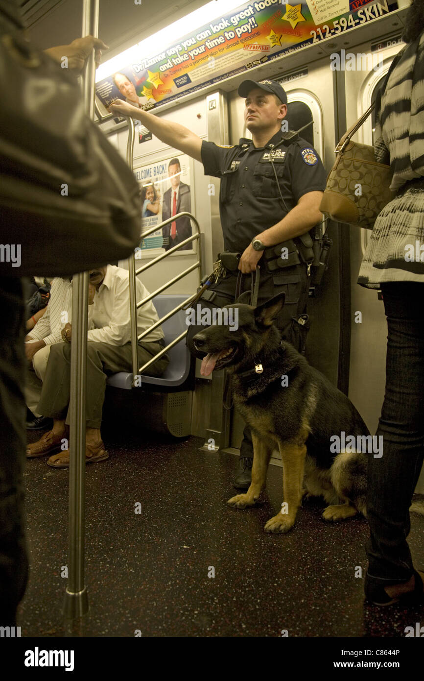 Transit-Cop mit einem Polizeihund im Schlepptau patrouillieren in der u-Bahn in New York City. Stockfoto