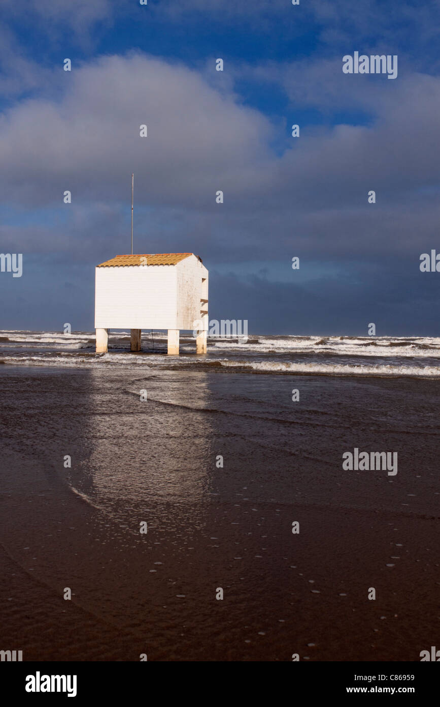 Stelzen bauen am Strand bei Flut Stockfoto