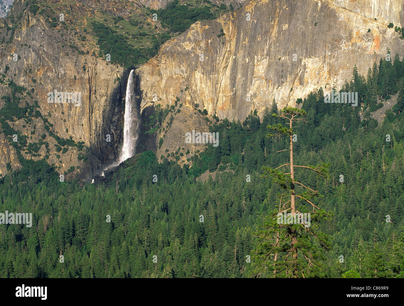 Bridalveil Falls, Yosemite-Nationalpark, USA Stockfoto