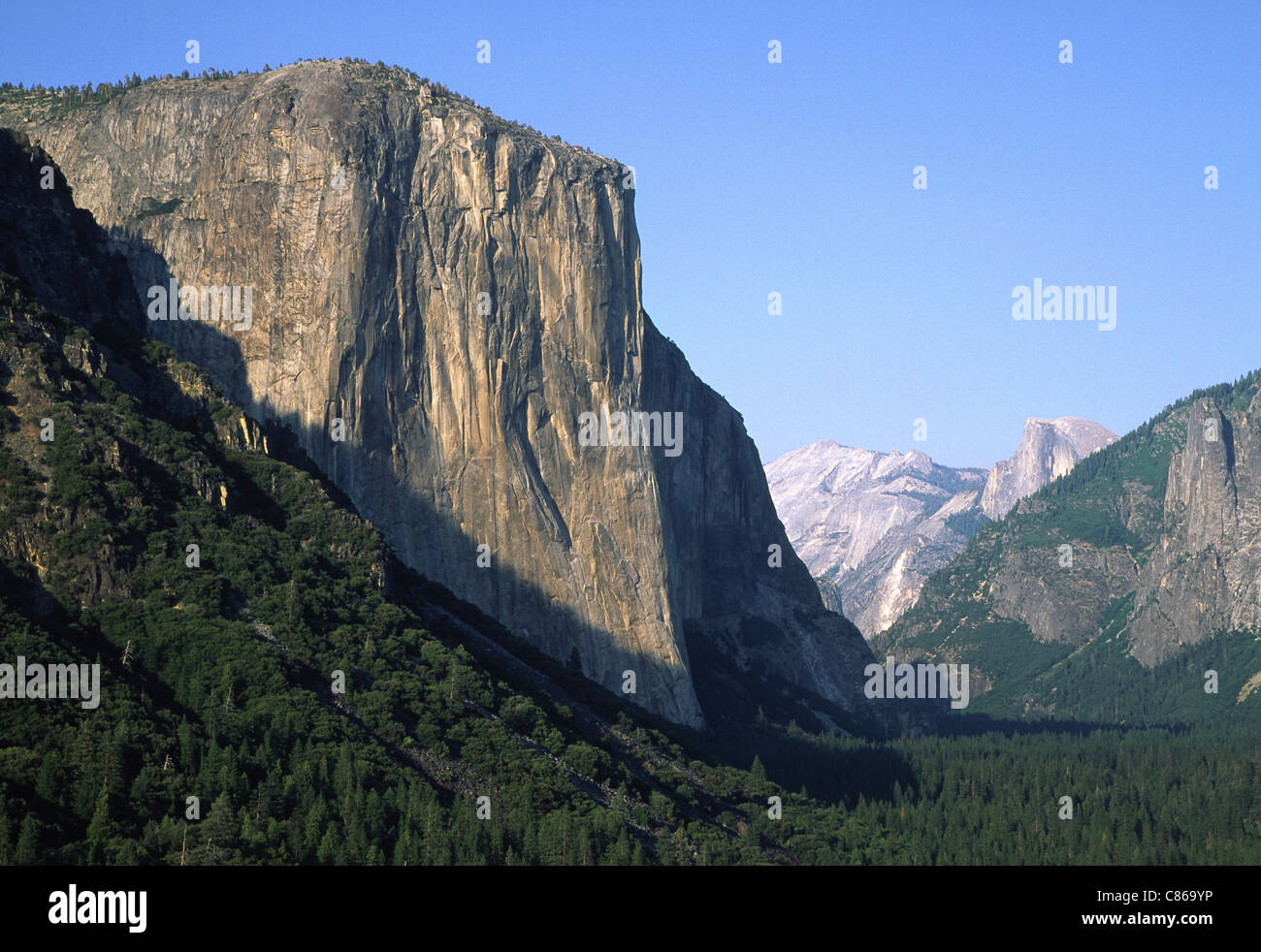 El Capitan, Yosemite-Nationalpark Stockfoto