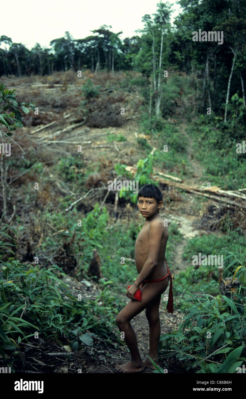 Roraima, Brasilien. Yanomami Teenager im Dorf Essen Garten. Stockfoto