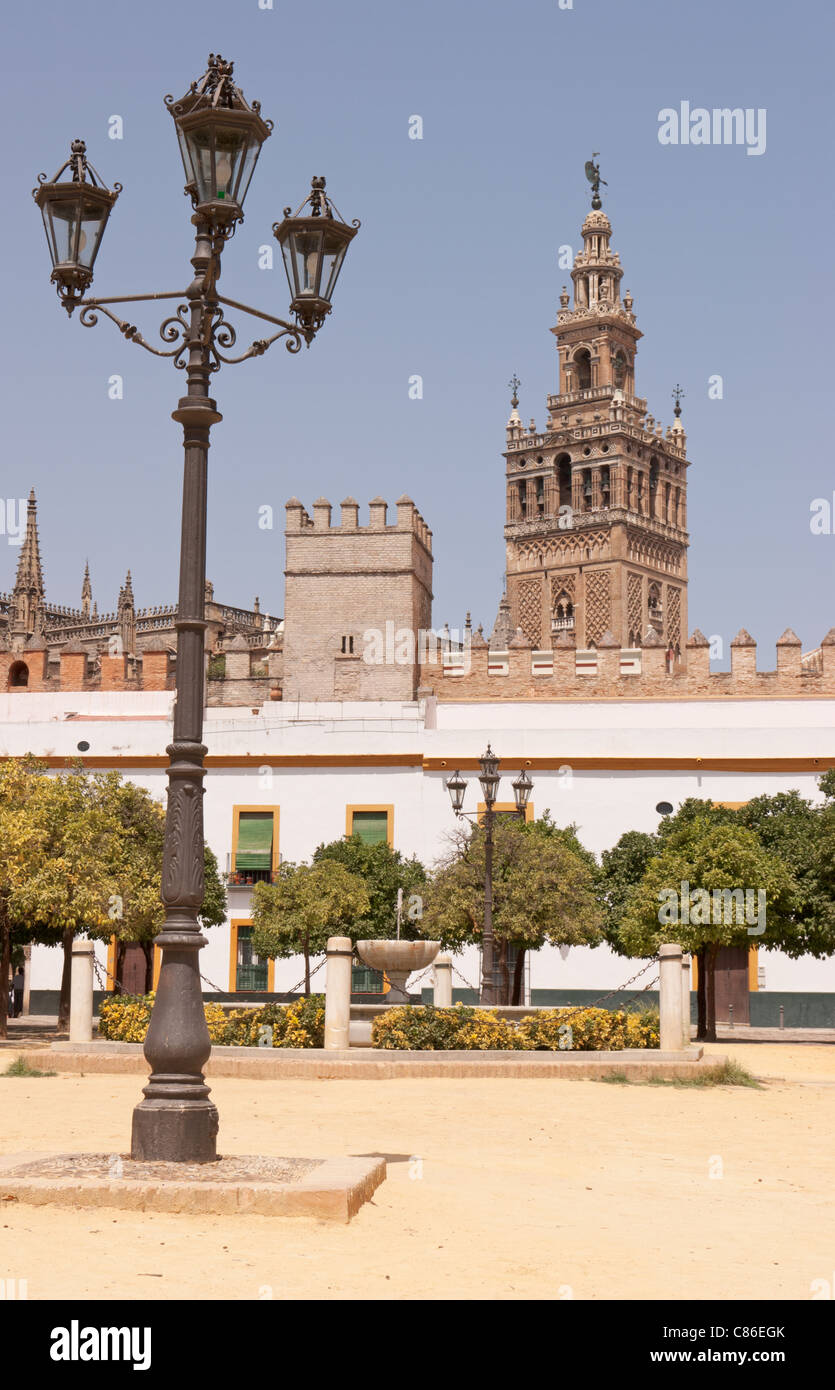 Blick auf die Giralda Turm aus der "Patio de Banderas" in der "echten verweilten" in Sevilla (Spanien) Stockfoto
