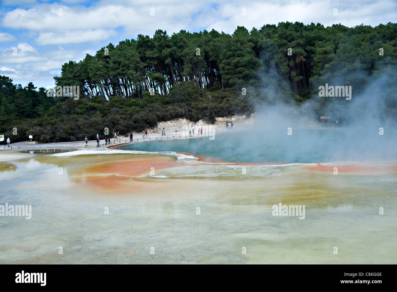 Die schönen Farben und dampfenden Wasser von der Künstler-Palette Wai-O-Tapu Thermal Wonderland Rotorua Neuseeland NZ Stockfoto