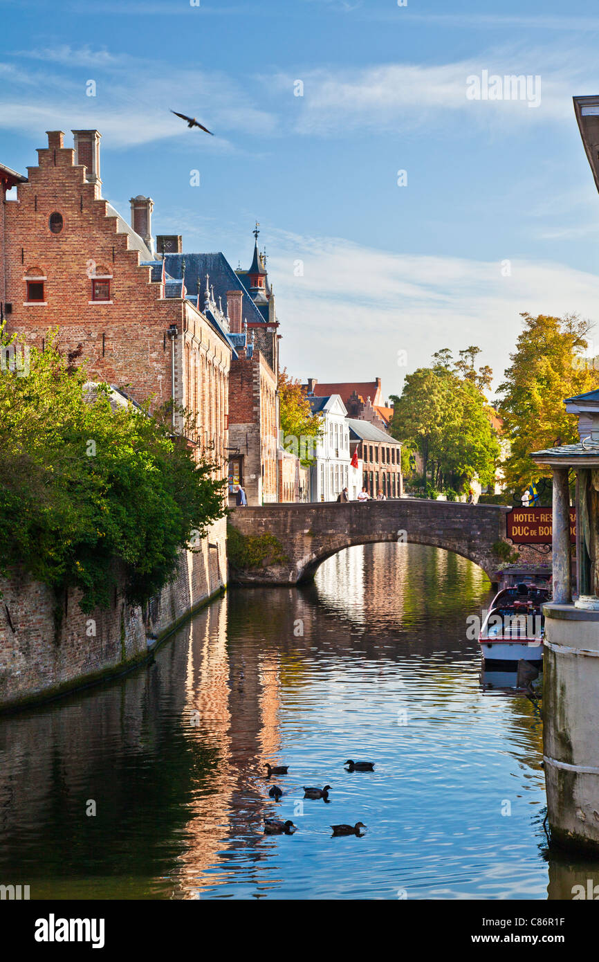 Dijver Kanal und Brücke in Bruges,(Brugge), Belgien Stockfoto