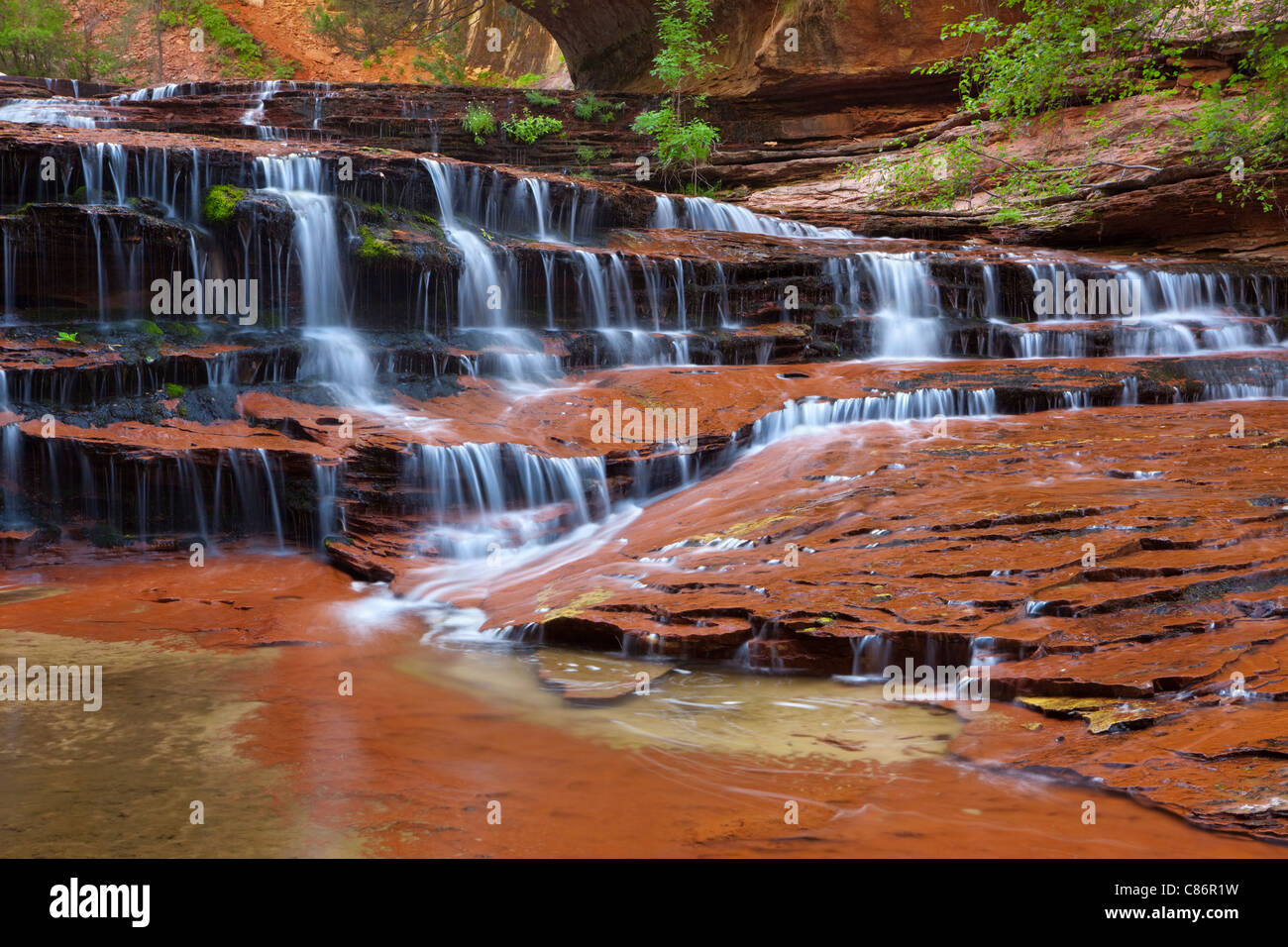 Kaskaden kurz vor der U-Bahn North Creek, Zion Nationalpark, Utah, USA Stockfoto