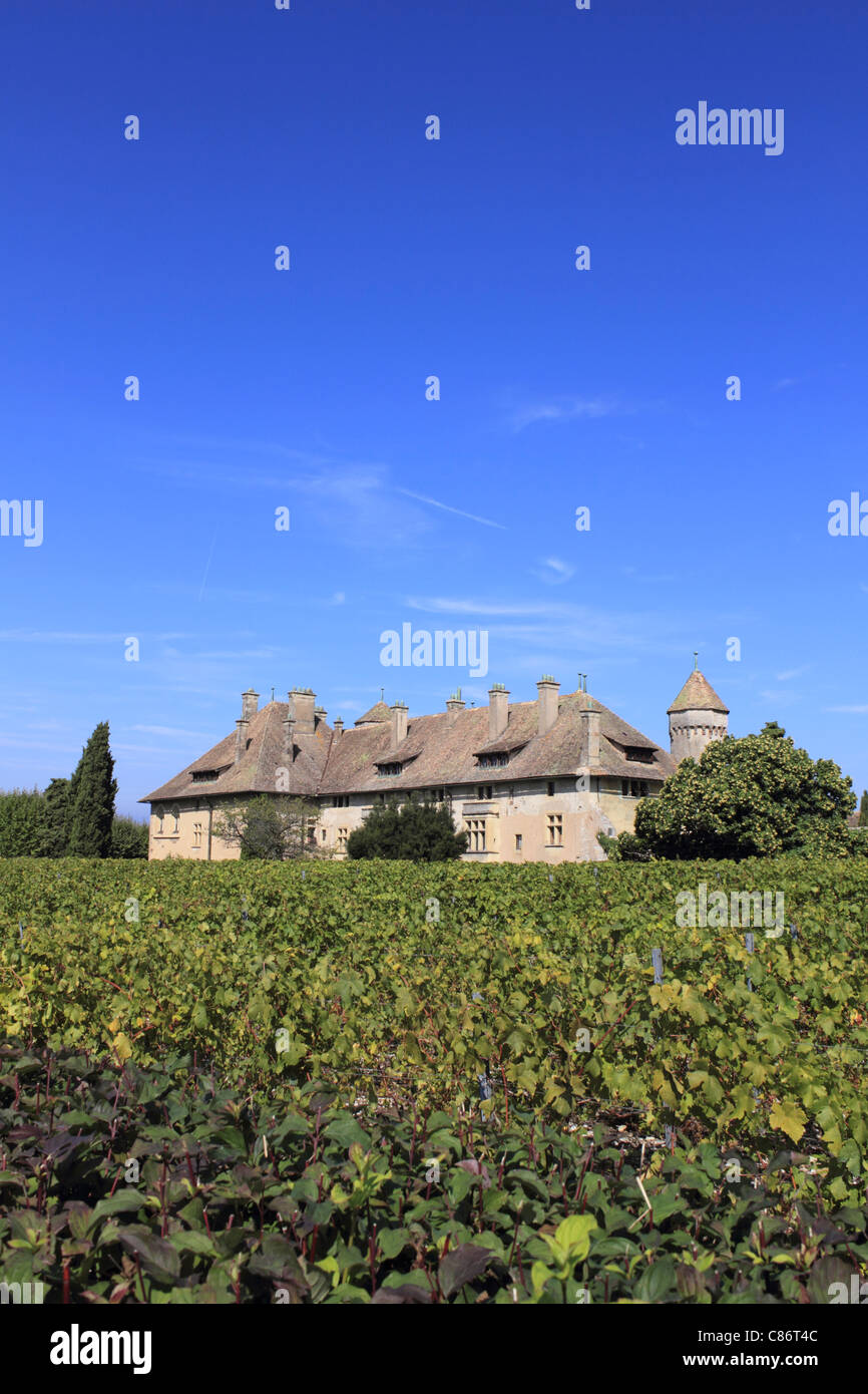 Schloss Ripaille Weinberg in der Nähe von Thonon-Les-Bains, Lac Leman (Genfer See) Haute-Savoie, Frankreich Stockfoto