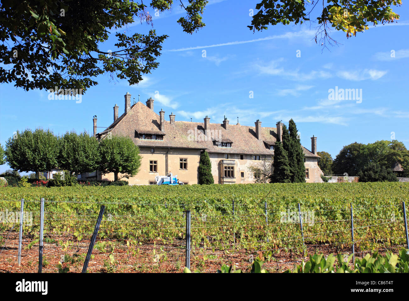 Schloss Ripaille Weinberg in der Nähe von Thonon-Les-Bains, Lac Leman (Genfer See) Haute-Savoie, Frankreich Stockfoto