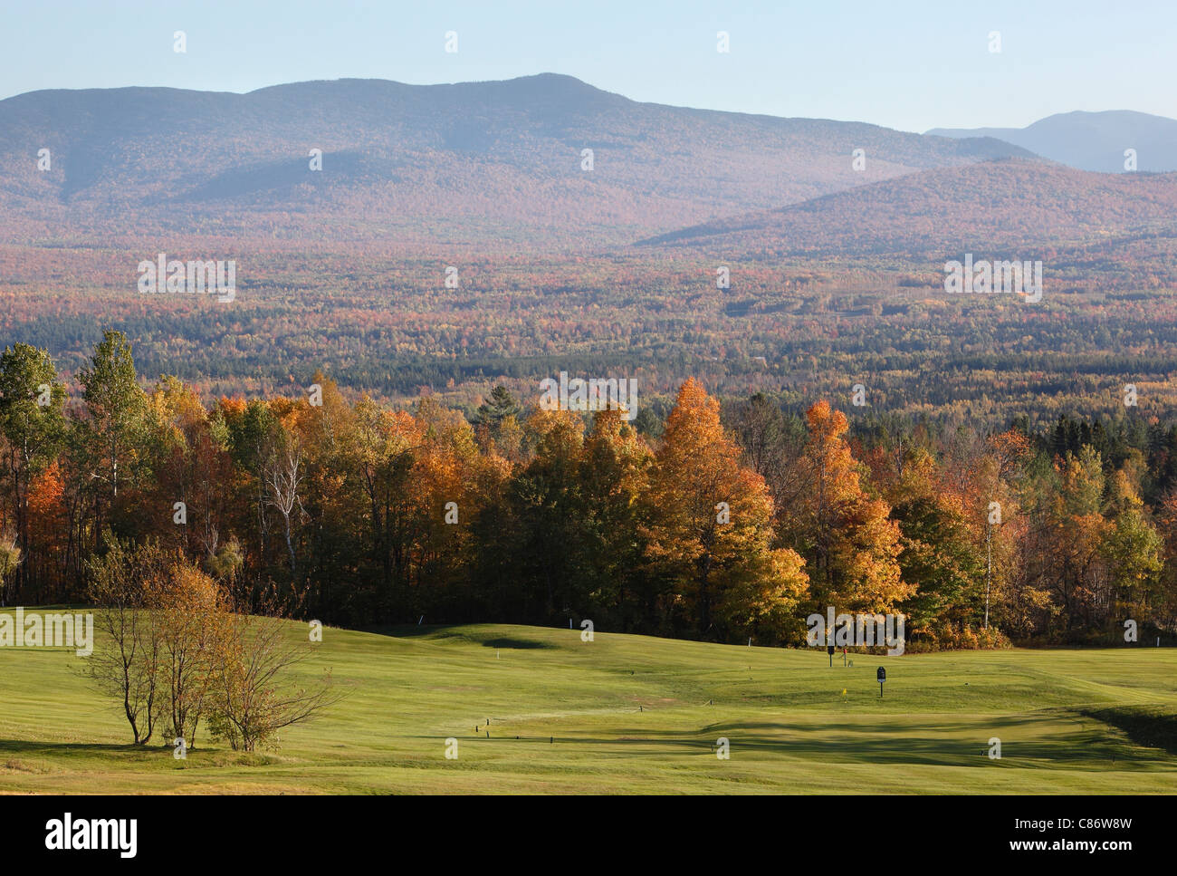 Herbstlaub in den White Mountains, New Hampshire Stockfoto
