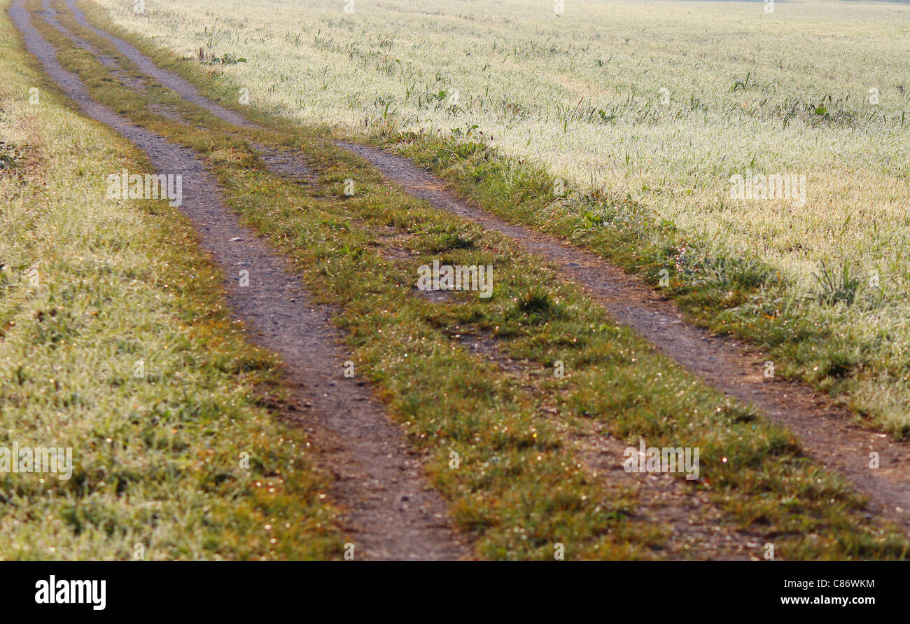 Ein Pfad in der Natur repräsentieren beweglichen Vorwort Stockfoto