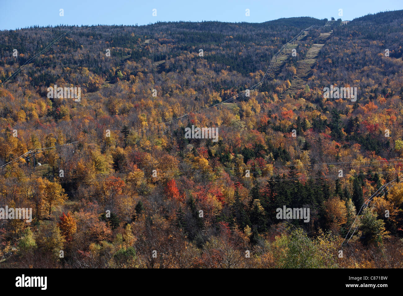 Wildcat-Berge-Skischaukel im Herbst vor-und Nachsaison, White Mountain National Forest, New Hampshire Stockfoto